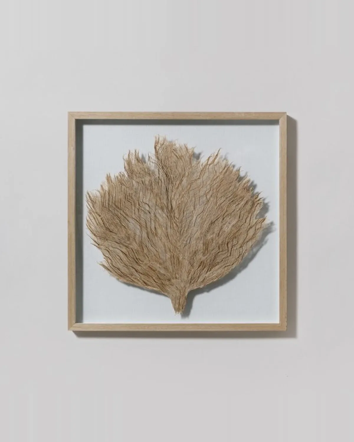 Cuadro Bark 60x60 cm — Casa de Sillones, sillón a medida